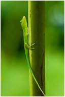 _dsc0715 1920